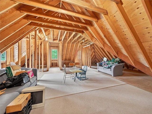 1010 Plank Rd, Penfield, NY 14580 - attic featuring plenty of natural light