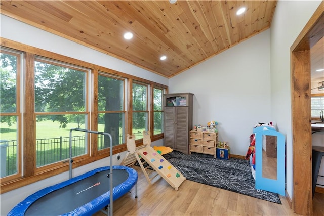 7046 Safford Ave Unit 12, Castile, NY 14530 - rec room with wooden ceiling, vaulted ceiling, recessed lighting, and wood finished floors
