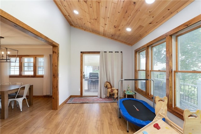 7046 Safford Ave Unit 12, Castile, NY 14530 - rec room featuring light wood finished floors, healthy amount of natural light, wood ceiling, vaulted ceiling, and recessed lighting