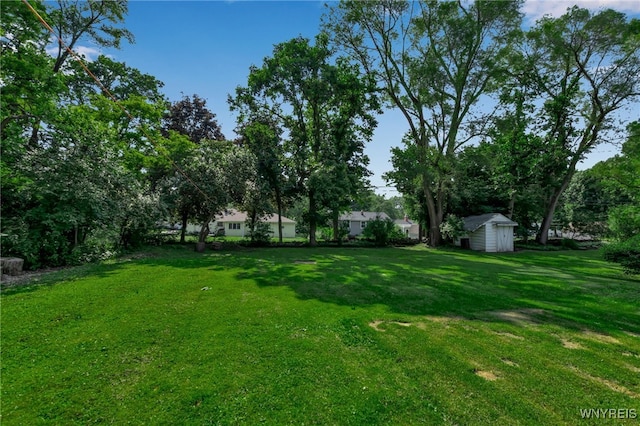 4306 Shimerville Rd, Clarence, NY 14031 - view of grassy yard with a storage unit