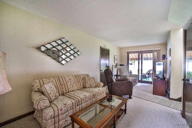 48 Kibler Dr, Lancaster, NY 14043 - carpeted living room with a textured ceiling