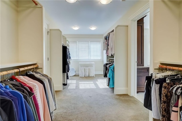 393 Mendon Center Rd, Mendon, NY 14472 - walk in closet featuring light carpet
