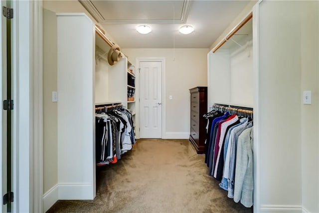 393 Mendon Center Rd, Mendon, NY 14472 - spacious closet featuring attic access and carpet floors