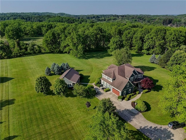 393 Mendon Center Rd, Mendon, NY 14472 - view of subject property featuring a forest