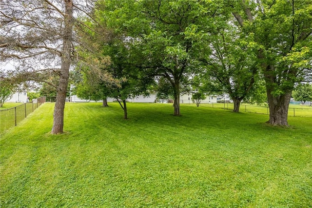 88 Rouge Rd, Henrietta, NY 14623 - view of yard
