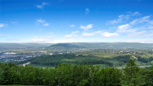 474 Thorpe Rd, Sidney, NY 13838 - view of mountain background featuring a heavily wooded area