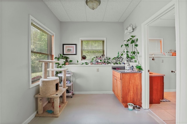 474 Thorpe Rd, Sidney, NY 13838 - bar with a drop ceiling and a sink