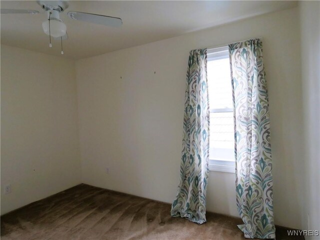 38 Mumford St, Buffalo, NY 14220 - photo 37