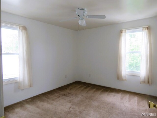 38 Mumford St, Buffalo, NY 14220 - photo 43