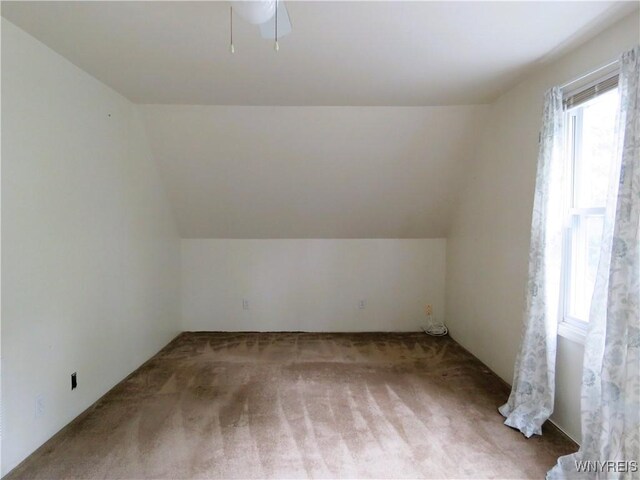 38 Mumford St, Buffalo, NY 14220 - photo 33