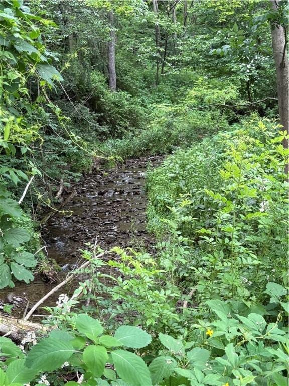 839 State Highway 7, Unadilla, NY 13849 - view of nature