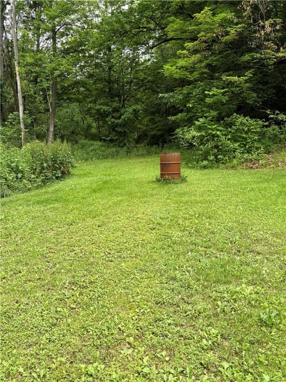 839 State Highway 7, Unadilla, NY 13849 - view of yard