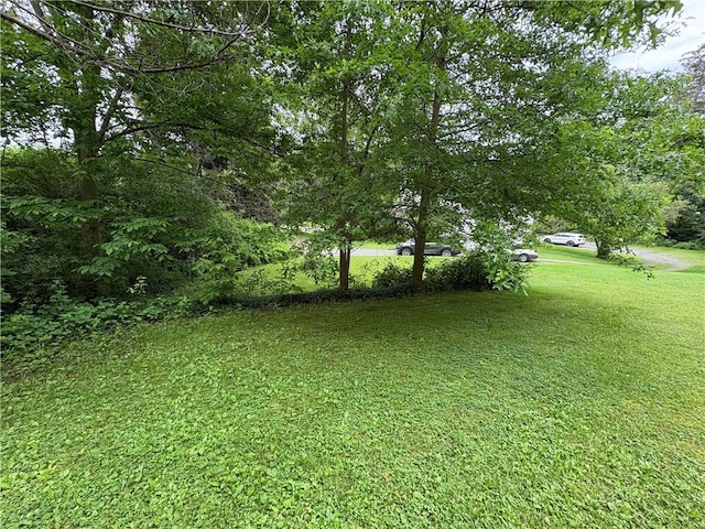 839 State Highway 7, Unadilla, NY 13849 - view of grassy yard