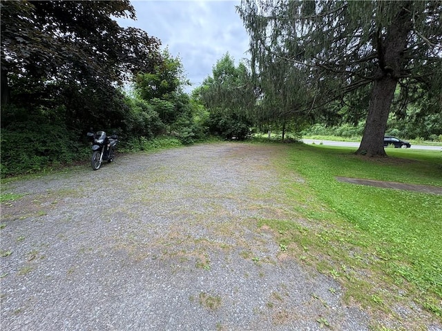 839 State Highway 7, Unadilla, NY 13849 - view of yard