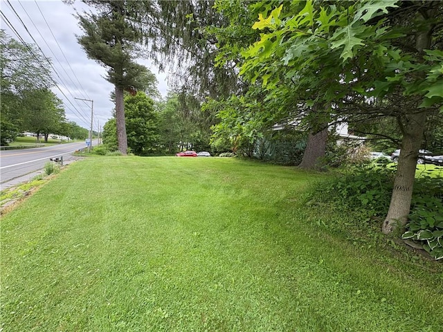 839 State Highway 7, Unadilla, NY 13849 - view of green lawn