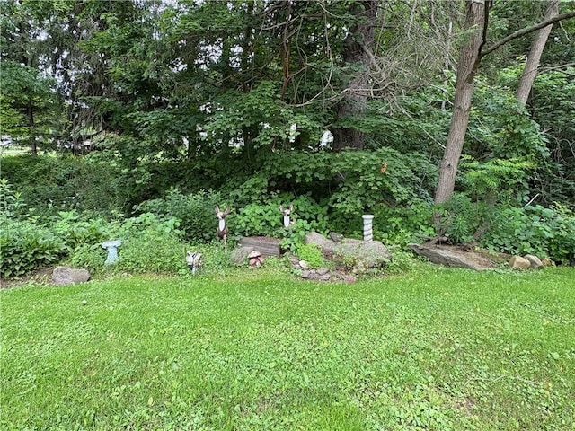 839 State Highway 7, Unadilla, NY 13849 - view of grassy yard