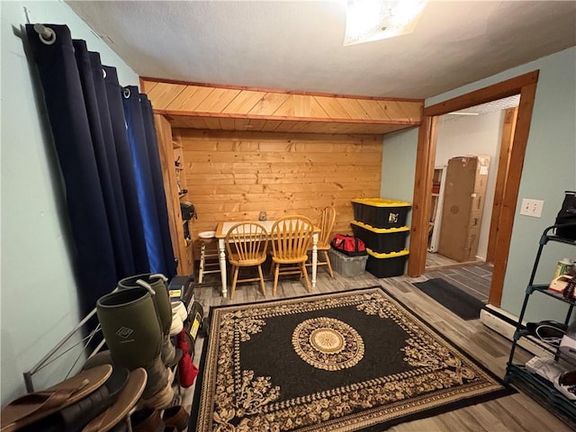 839 State Highway 7, Unadilla, NY 13849 - playroom with wood walls and wood finished floors