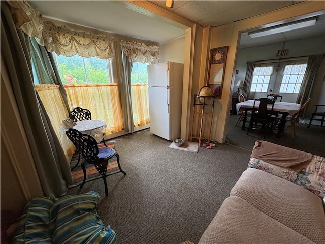 839 State Highway 7, Unadilla, NY 13849 - living room featuring carpet