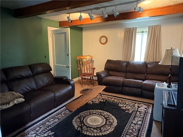 839 State Highway 7, Unadilla, NY 13849 - living area featuring rail lighting