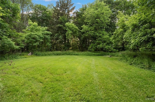 16 Meadow St, Kirkland, NY 13323 - view of green lawn with a wooded view