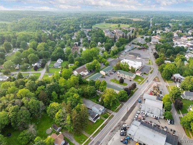 16 Meadow St, Kirkland, NY 13323 - bird's eye view