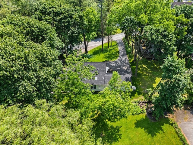 38 Richs Dugway Rd, Brighton, NY 14625 - bird's eye view