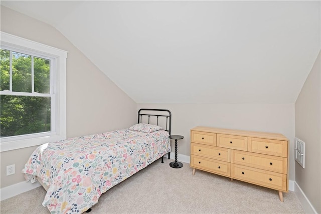 38 Richs Dugway Rd, Brighton, NY 14625 - bedroom featuring lofted ceiling and light colored carpet