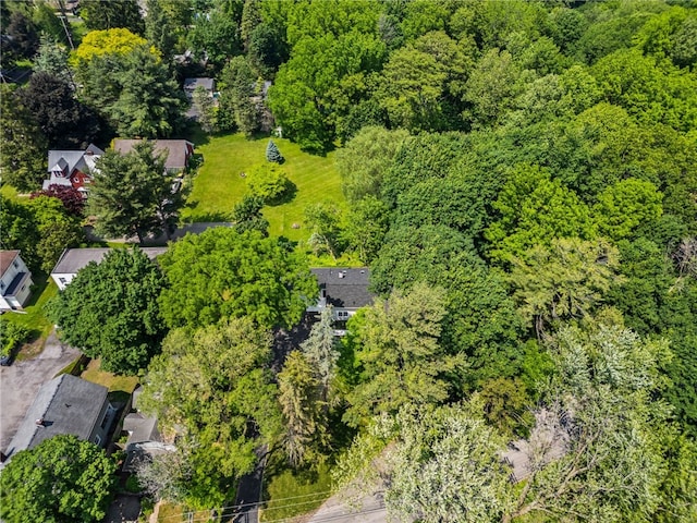 38 Richs Dugway Rd, Brighton, NY 14625 - aerial view of a forest