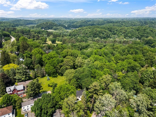 38 Richs Dugway Rd, Brighton, NY 14625 - bird's eye view of a forest