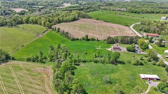 11577 Armison Rd, Hume, NY 14735 - photo 9