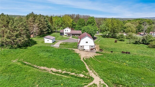 11577 Armison Rd, Hume, NY 14735 - photo 16