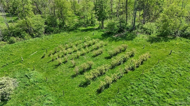 11577 Armison Rd, Hume, NY 14735 - photo 18