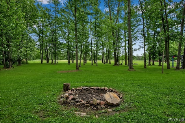 2391 Hess Rd, Newfane, NY 14008 - view of green lawn with view of wooded area