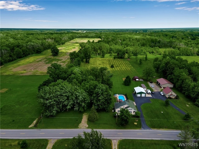 2391 Hess Rd, Newfane, NY 14008 - drone / aerial view of a forest