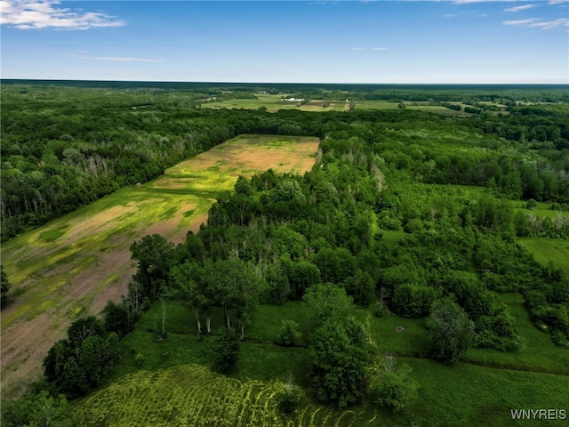 2391 Hess Rd, Newfane, NY 14008 - view of property location featuring a heavily wooded area