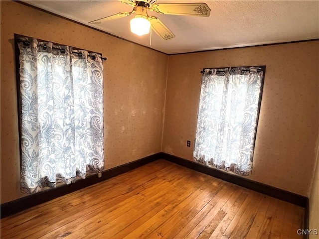41 Evergreen St, Cortland, NY 13045 - empty room featuring hardwood / wood-style floors, a ceiling fan, and a textured ceiling