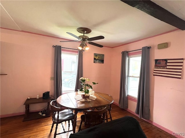 41 Evergreen St, Cortland, NY 13045 - dining room with a ceiling fan and wood-type flooring
