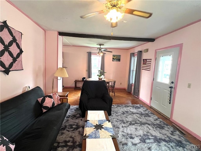 41 Evergreen St, Cortland, NY 13045 - living room featuring ceiling fan, plenty of natural light, and wood finished floors
