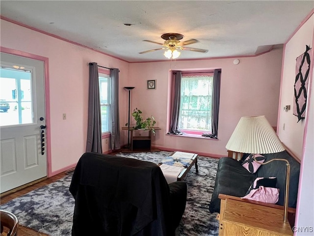 41 Evergreen St, Cortland, NY 13045 - living room with healthy amount of natural light, a ceiling fan, and wood finished floors
