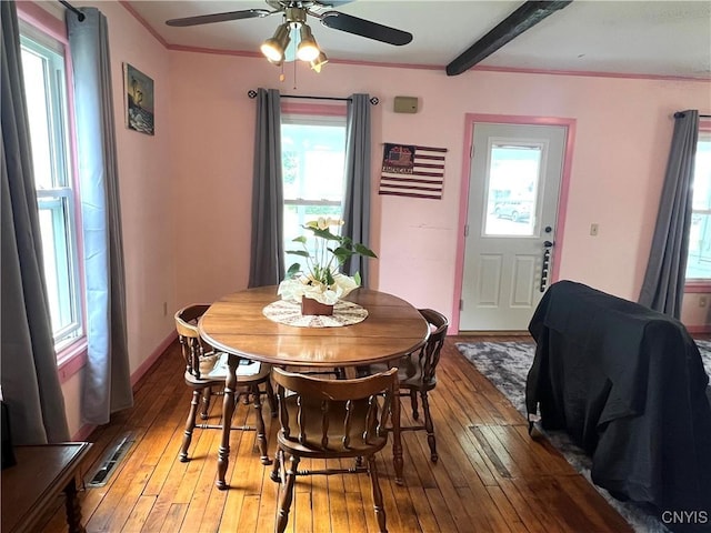 41 Evergreen St, Cortland, NY 13045 - dining area with plenty of natural light, ceiling fan, light wood finished floors, and ornamental molding