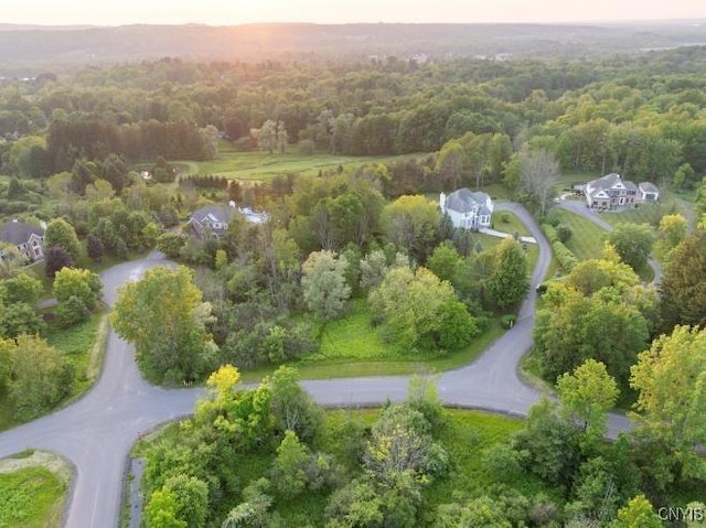 LOT30 Chapel Vw, Kirkland, NY 13323 - photo 3
