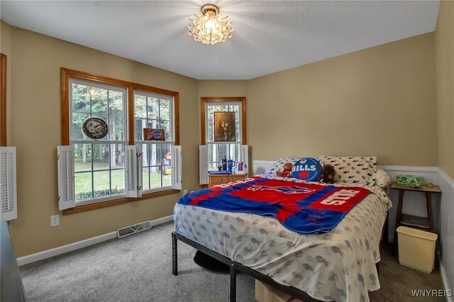 6553 Vermont Hill Rd, Wales, NY 14139 - photo 27