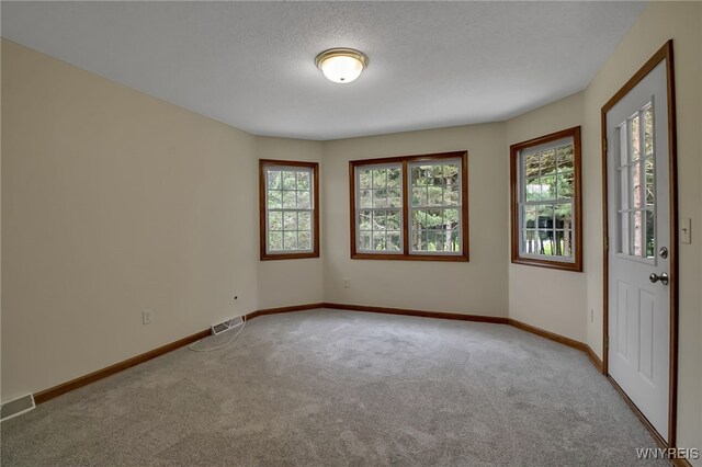 6553 Vermont Hill Rd, Wales, NY 14139 - photo 33