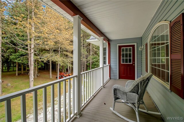 6553 Vermont Hill Rd, Wales, NY 14139 - photo 38