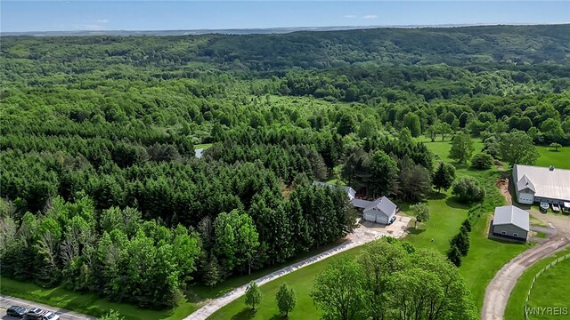 6553 Vermont Hill Rd, Wales, NY 14139 - photo 43