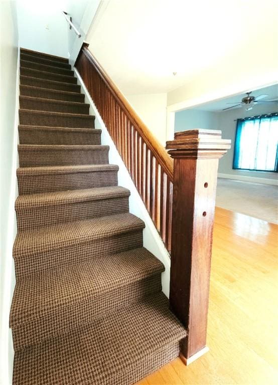 409-411 Hoffman St, Elmira City, NY 14905 - photo 16