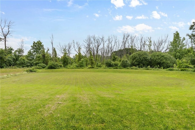 591 Whistlers Cove Ln, Greece, NY 14612 - view of grassy yard