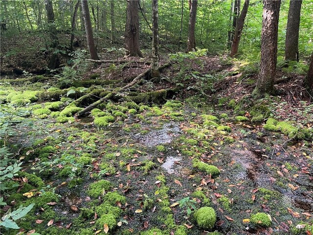 Creek Rd Unit 7, Annsville, NY 13471 - photo 8