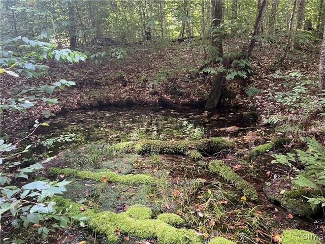 Creek Rd Unit 7, Annsville, NY 13471 - photo 9
