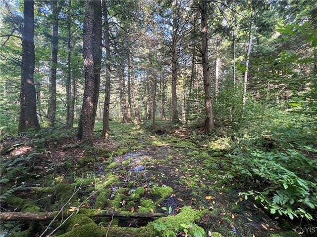 Creek Rd Unit 7, Annsville, NY 13471 - photo 10